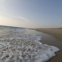 Strand 1